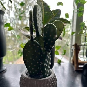 Fake Cactus With Gray Cement Pot